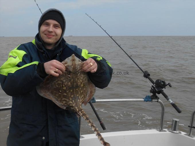 5 lb Thornback Ray by Arty