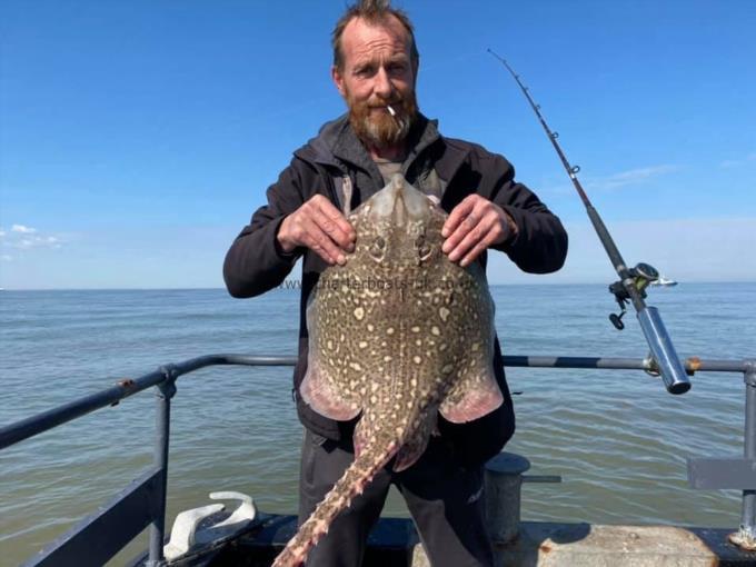 11 lb Thornback Ray by Unknown