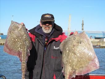 11 lb 1 oz Thornback Ray by Mitch