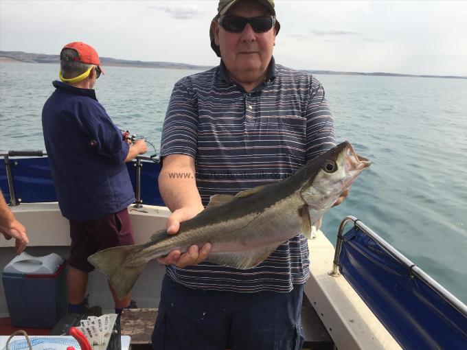 6 lb Pollock by Ray Barker