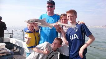9 lb 6 oz Smooth-hound by Bob Marshall