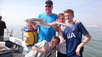 9 lb 6 oz Smooth-hound (Common) by Bob Marshall