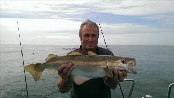 7 lb 8 oz Pollock by Unknown