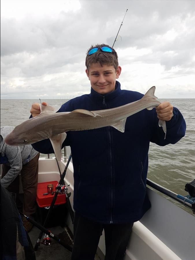4 lb 5 oz Starry Smooth-hound by Mikey