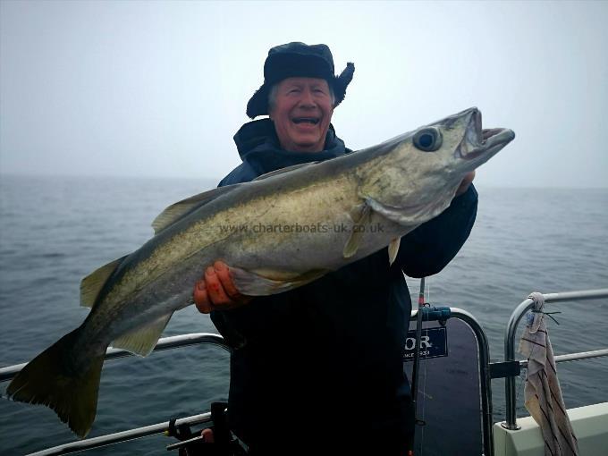 16 lb 8 oz Pollock by Unknown