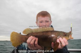 3 lb Ballan Wrasse by Ryan