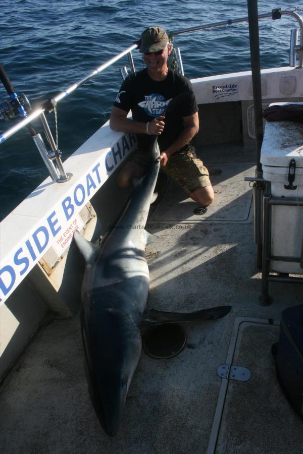 125 lb Blue Shark by Andy Truelove