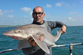 14 lb Starry Smooth-hound by Pete