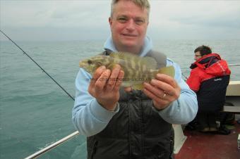 2 lb Ballan Wrasse by Stephen Wake