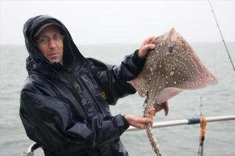 5 lb Thornback Ray by Sean