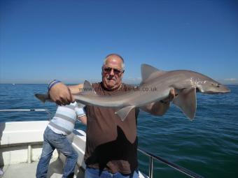 14 lb 9 oz Starry Smooth-hound by Graham