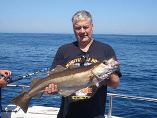 8 lb Pollock by Alan Bloomfield