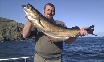 12 lb 8 oz Pollock by Unknown