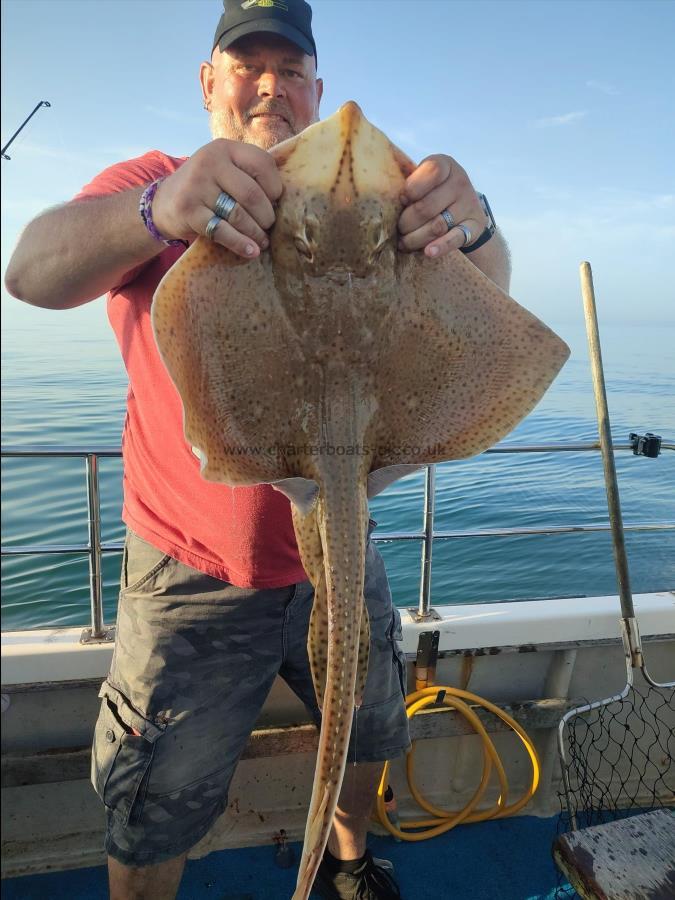 15 lb Blonde Ray by Roger