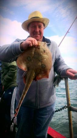 4 lb 8 oz Cuckoo Ray by Unknown