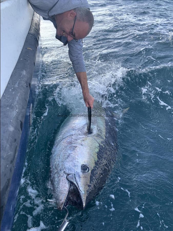 450 lb Bluefin Tuna by Unknown
