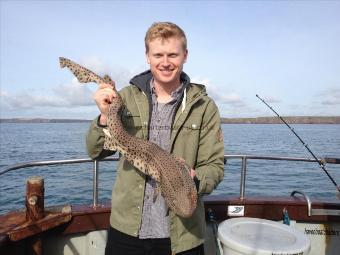 8 lb 8 oz Bull Huss by Fishguard boys