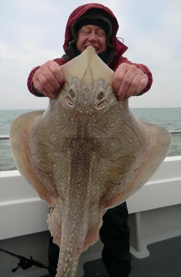 15 lb 11 oz Undulate Ray by Fred Hurd