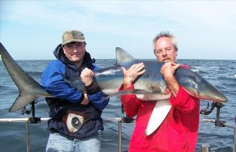 85 lb Blue Shark by Andy Truelove