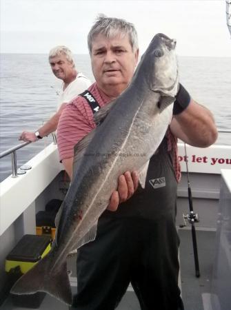 15 lb 7 oz Coalfish (Coley/Saithe) by Unknown