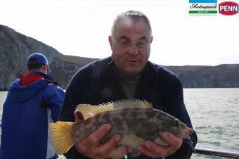 2 lb Ballan Wrasse by Anthony