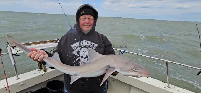 12 lb 10 oz Starry Smooth-hound by Gustaw
