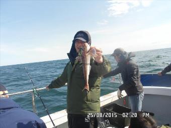 12 oz Grey Gurnard by Tony, Spennymoor Durham,