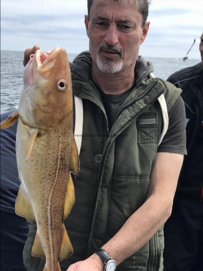 8 lb Cod by Petra from Nafferton 27th june