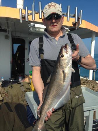 11 lb 2 oz Pollock by Captain