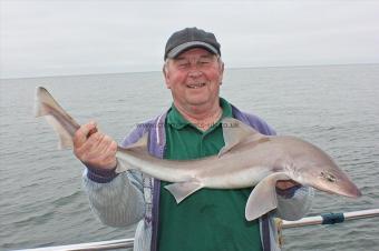 12 lb Starry Smooth-hound by Mr Keegan snr