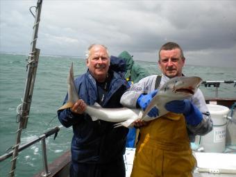 26 lb Tope by Bernie Gosport