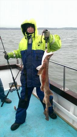 13 lb 8 oz Bull Huss by Unknown