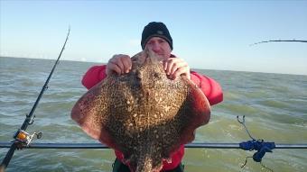 14 lb Thornback Ray by Michael from medway