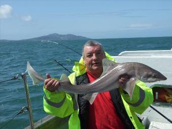 13 lb 6 oz Starry Smooth-hound by Unknown