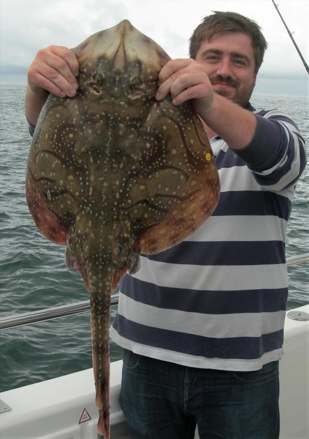 11 lb 6 oz Undulate Ray by Mark