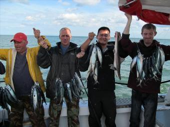 1 lb Mackerel by More Mackerel!