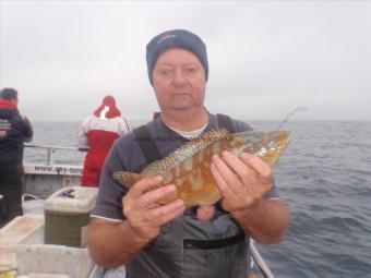 1 lb 12 oz Ballan Wrasse by Trevor Crunchorn.