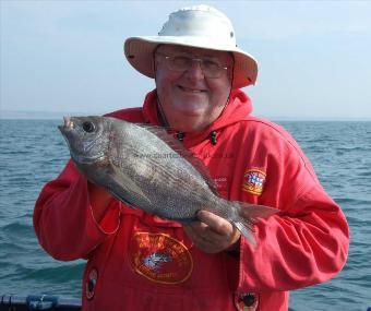 3 lb Black Sea Bream by Bill Oliver