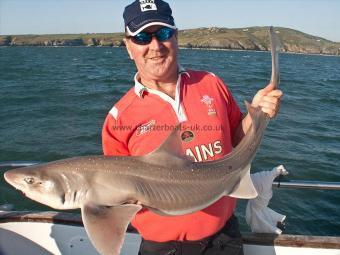 19 lb Starry Smooth-hound by Rob Roberts