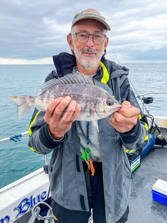 2 lb 1 oz Black Sea Bream by Simon Young