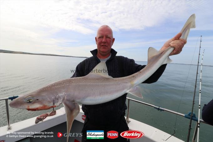 14 lb Starry Smooth-hound by Keith