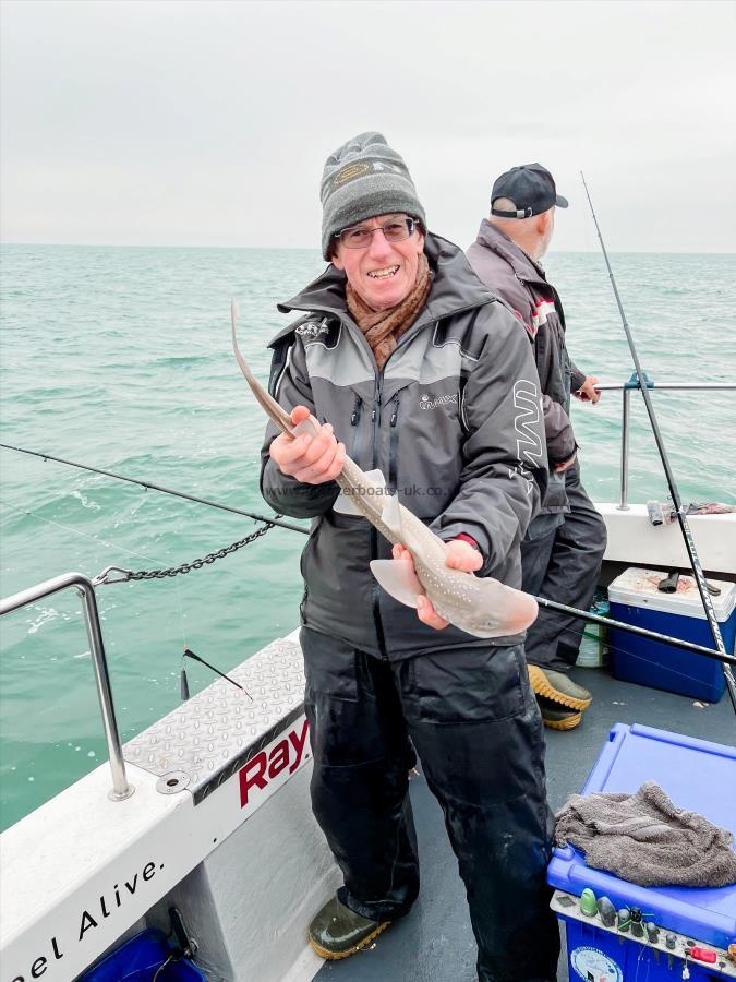 4 lb Smooth-hound by Kim Bowden