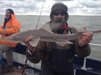 4 lb Smooth-hound (Common) by Phil