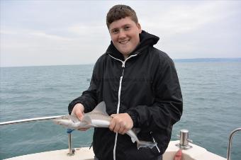 4 lb Smooth-hound by Stephen Wake