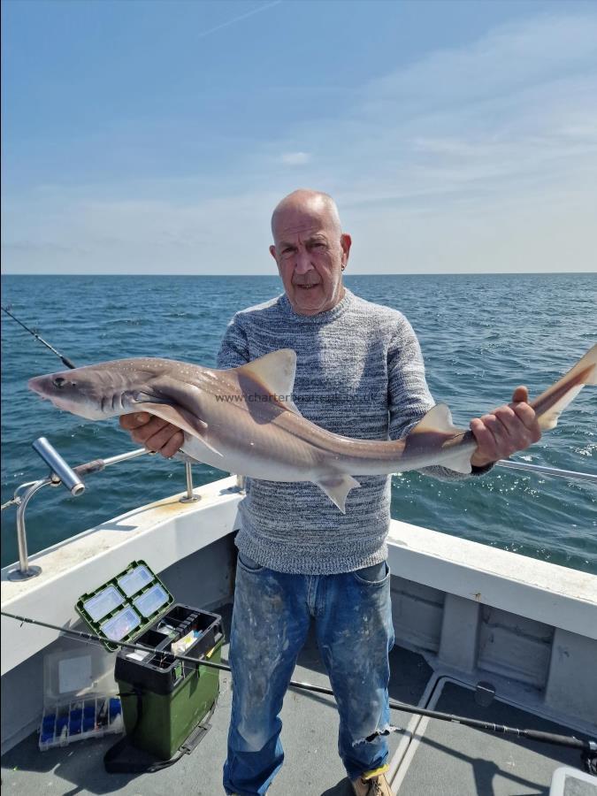 10 lb 5 oz Smooth-hound (Common) by Darryl