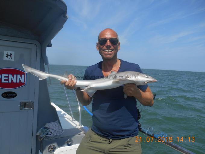 4 lb 5 oz Starry Smooth-hound by Dean