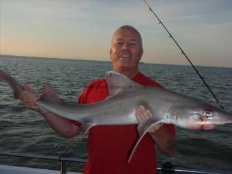 15 lb 1 oz Starry Smooth-hound by Gary Tidd