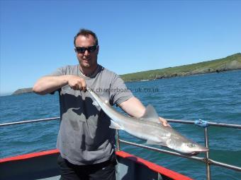9 lb 6 oz Starry Smooth-hound by Unknown