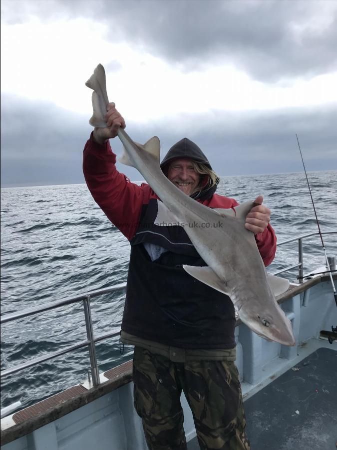 15 lb Smooth-hound (Common) by Dinky