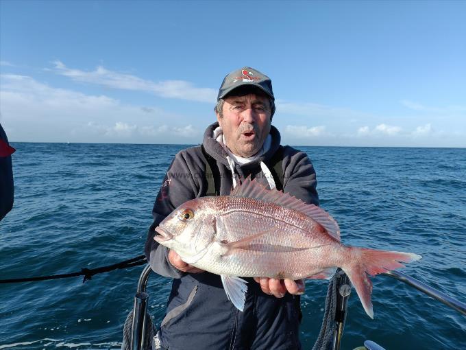 4 lb 12 oz Couch's Sea Bream by Adrian Kruger